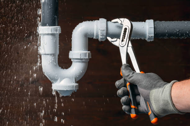 Professional Plumbing technician working in Paw Paw, MI